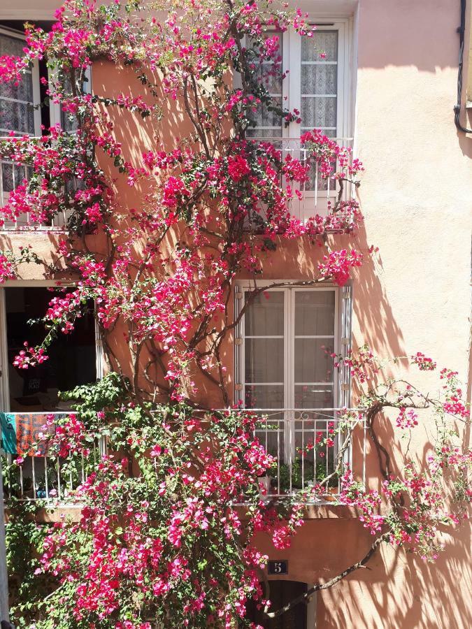 Blue Palm Apartment Hyeres Exterior photo